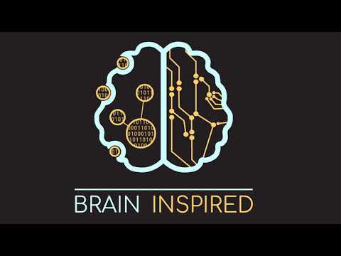 John Krakauer's Insights into Neuroscience and Human Behavior
