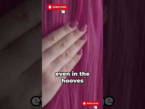 Keratin Molecule: Key Player in Hair and Nail Structure