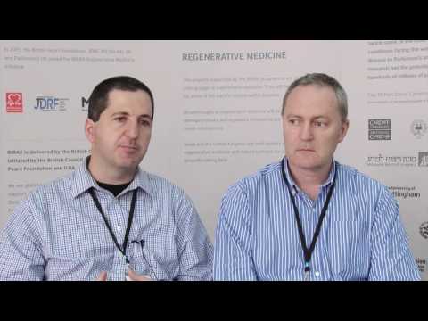 Hepatic Stem Cells: A Frontier in Liver Regeneration Research