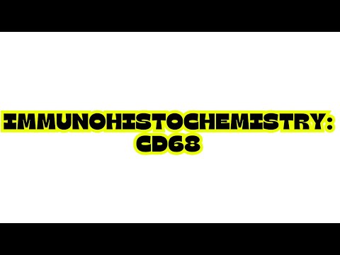 CD68 Pathology Outlines in Immunology and Disease Research