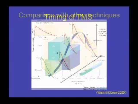 Advancements in TMS Neuroscience and Its Applications