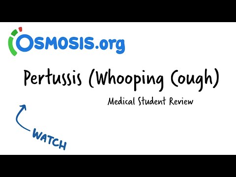 Pathophysiology of Pertussis: Insights into Disease Mechanisms