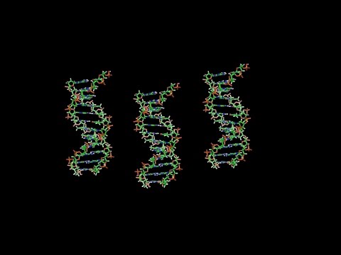Decoding the Molecular Biology of Genes and Their Functions