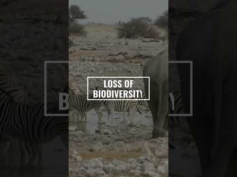 Confronting Nature Pollution Through Science and Education