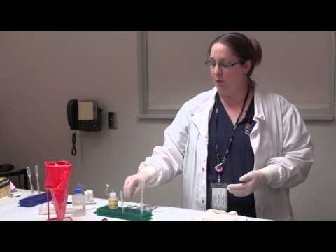 Forensic Science Undergraduates: Shaping Tomorrow's Investigators