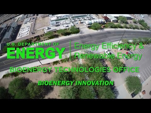 Harnessing Bioenergy: Innovations and Environmental Benefits