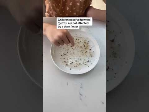 Engaging Earth and Space Science Projects for All Ages