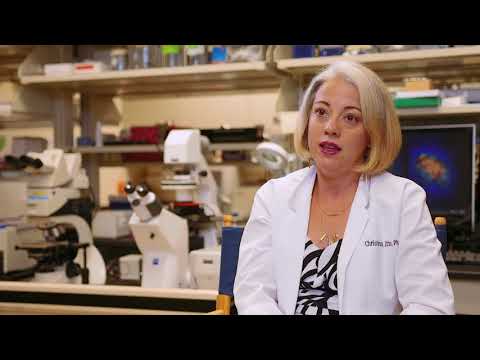 Advancing Science Through a Master's in Molecular Biology