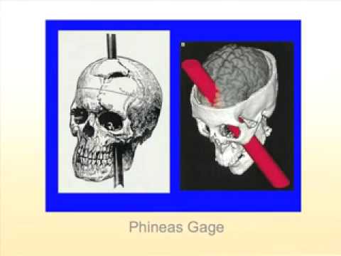Robert Costanza and the Role of Science in Sustainability