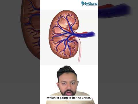 Advancements in Radiology for Papillary Necrosis Diagnosis
