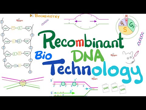 Genetic Biotechnology and Its Role in Modern Science