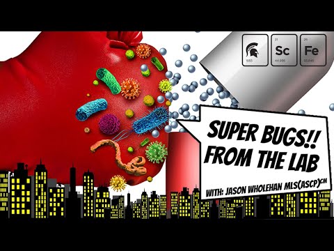 Bacteriological Study in Science and Public Health Initiatives