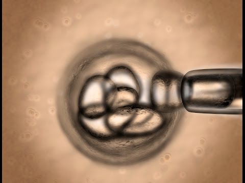 Innovations in Cancer Biology and Therapeutic Strategies