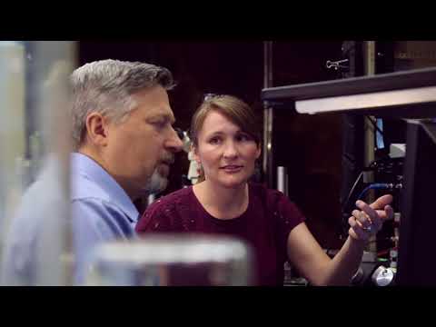 Advancements in Molecular and Cellular Neurobiology Research