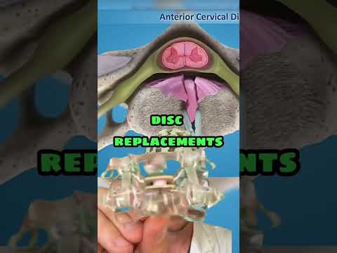 Innovations in Z Anatomy: Bridging Science and Outreach