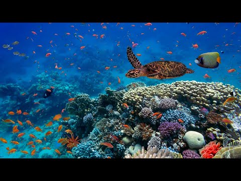 Science and Outreach for Biodiversity Conservation Efforts