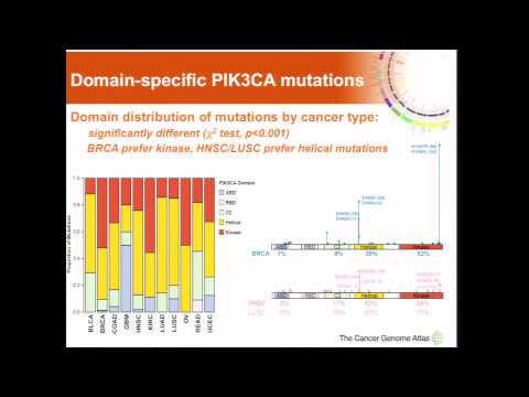 Pik3ca Gene and Its Role in Cancer Research Advances