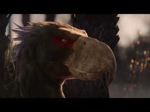 Celebrating the Rich Diversity of Life on Our Planet