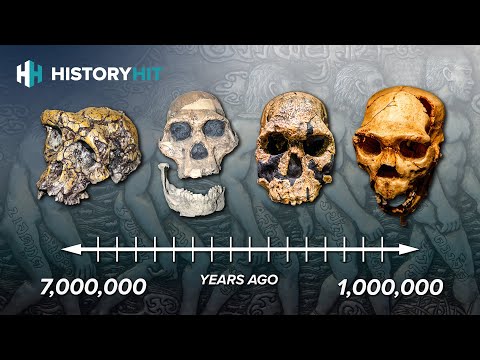 Tracing the Roots of Human Evolution Through Science