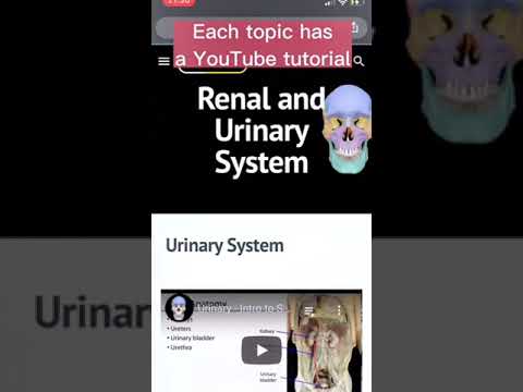 Innovative Online Resources for Anatomy Education and Outreach