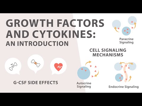 Growth Factors in Biology and Their Role in Healing and Repair