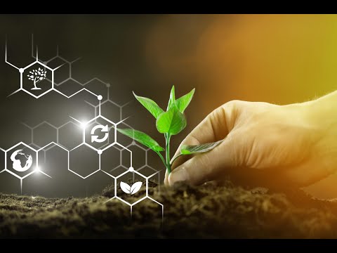 Advancements in Brown Biotechnology and Their Scientific Impact