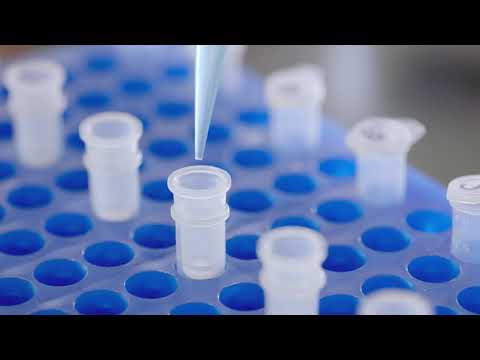 Advancements in S Trap Proteomics for Protein Research