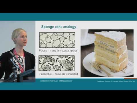 Petroleum Systems and Their Role in Earth's Energy Landscape