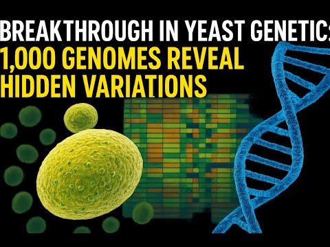 New Insights into the Candida Genome and Its Implications