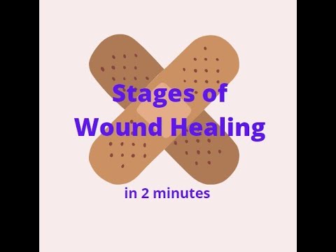 The Science Behind Wound Healing Pathophysiology