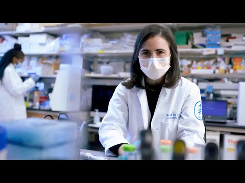 Advancing Hematology Research at St Francis Institute