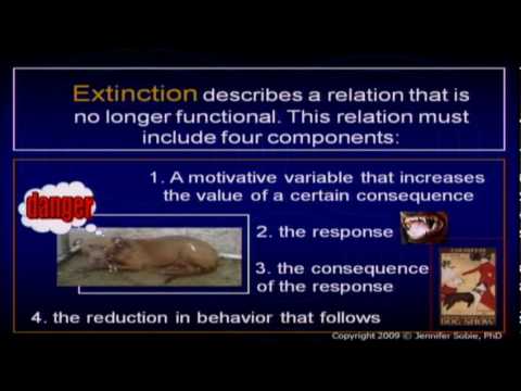 Applied Animal Behaviorists: Bridging Science and Outreach