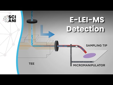 Advancements in ESI MS Spectrometry for Scientific Research