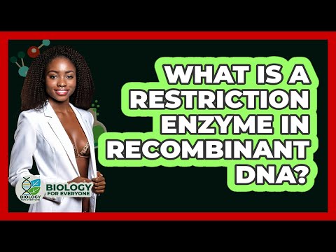 Insights into Bamh1 Cut Site Applications in Genetic Research