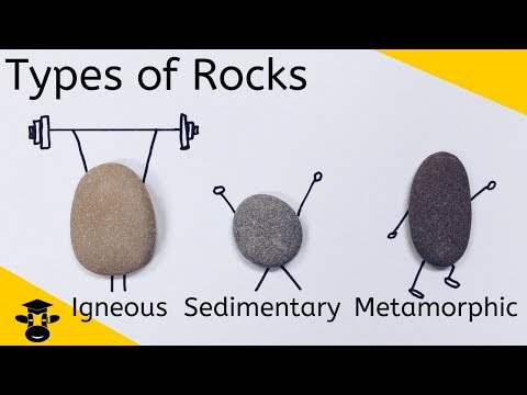 Types of Sedimentary Rocks and Their Unique Characteristics