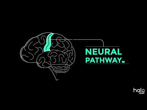 Neuroscience Advances: Shaping Our Understanding of Development