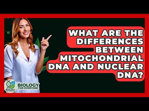 Nuclear and Mitochondrial DNA: A Journey Through Genetics