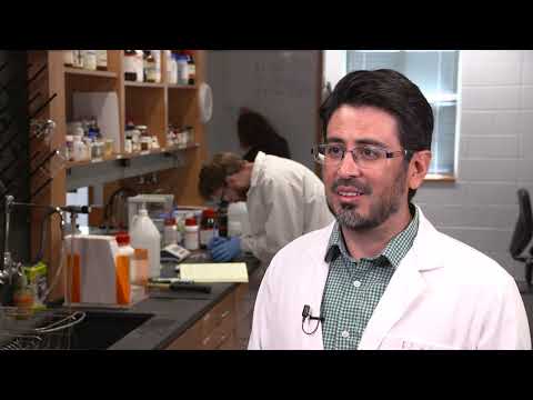 Advancing Biochemistry: A Pathway to Scientific Innovation