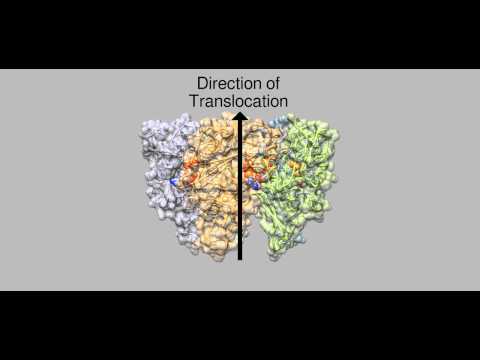 Innovative Advances in Genome Packaging and Outreach Efforts