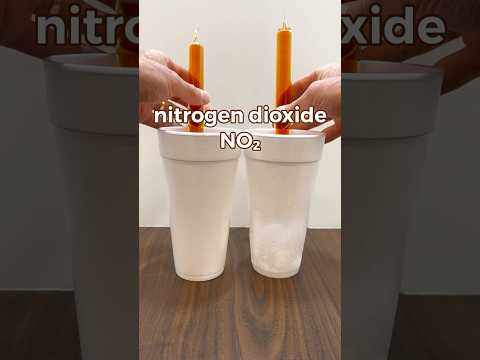 Nitrogen Dioxide and N2 Chemistry in Modern Science