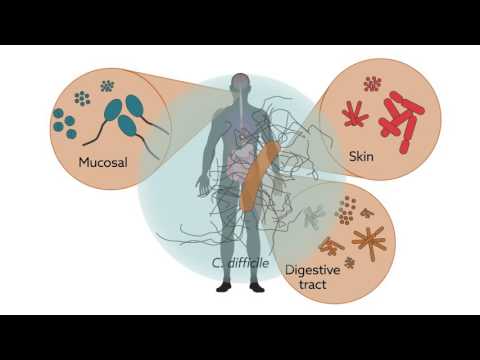 Advancements in Immunology and Microbiology Research Initiatives