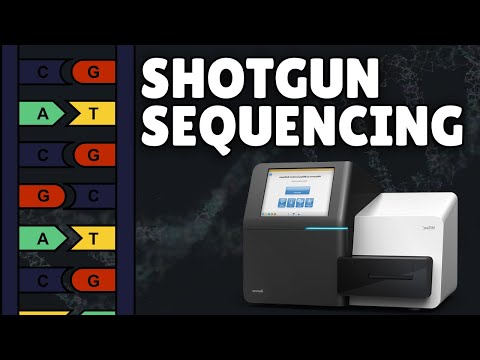 Advancements in Shotgun Genome Sequencing Techniques