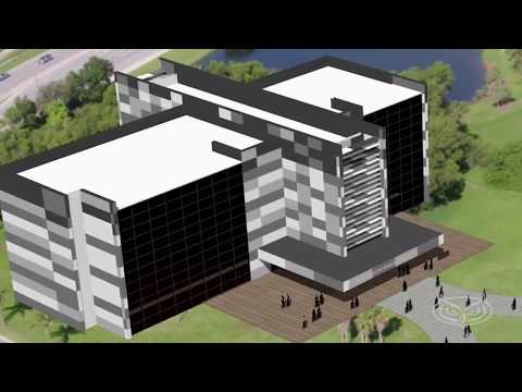 Innovations in Brain Science at the Stiles Nicholson Institute