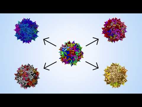 Innovations in Gene Therapy: Pioneering New Horizons in Medicine