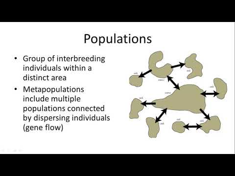 Mammalian Physiology and Its Role in Ecosystem Balance