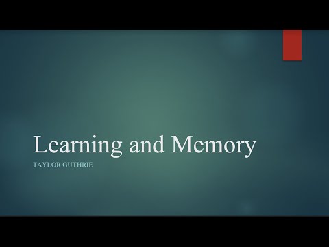 Advances in Learning and Memory Research in Psychology