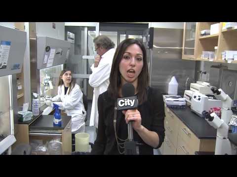 Stem Cells in Alzheimer’s Research: Promising Advances Ahead