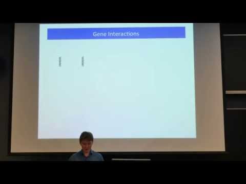 Uncovering the Role of Motifs in Biological Systems