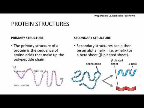 The Role of Sulfur Bonds in Biological Molecule Formation