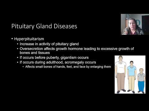Common Endocrine Diseases and Their Scientific Implications